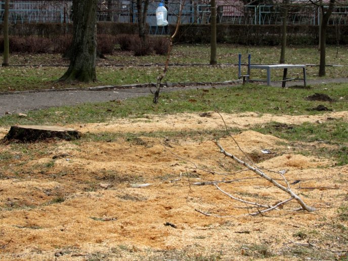 Сквер імені Андрія Кузьменка у Мукачеві: купа пляшок, бруд, поламані лавиці та викрадені смітники – 04