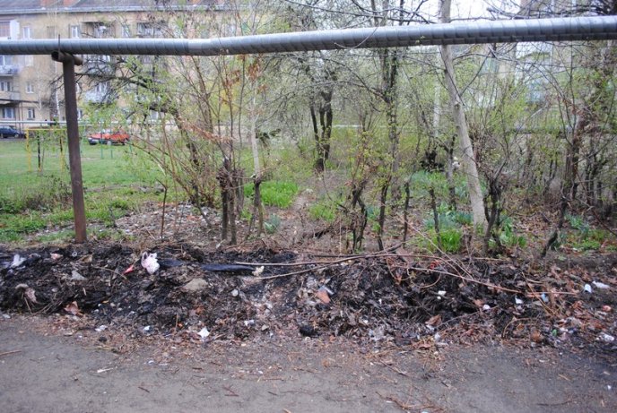 Толока в Мукачеві крізь об’єктив нашого кореспондента (ФОТОРЕПОРТАЖ) – 02