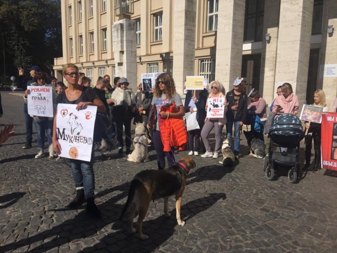В Ужгороді відбувся марш за права тварин – 09