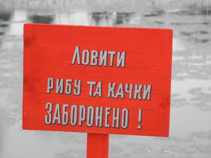 В Ужгороді ловлять рибу не дивлячись на заборону (ФОТО) – 04