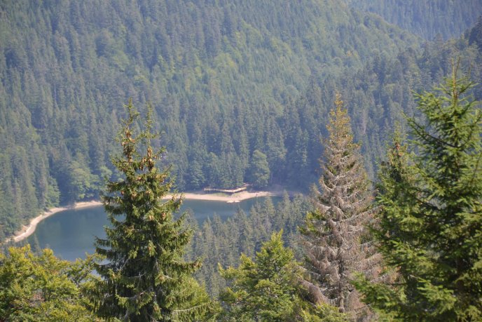 НПП "Синевир" пропагує активні види подорожей та вже провів цікаву акцію – 02