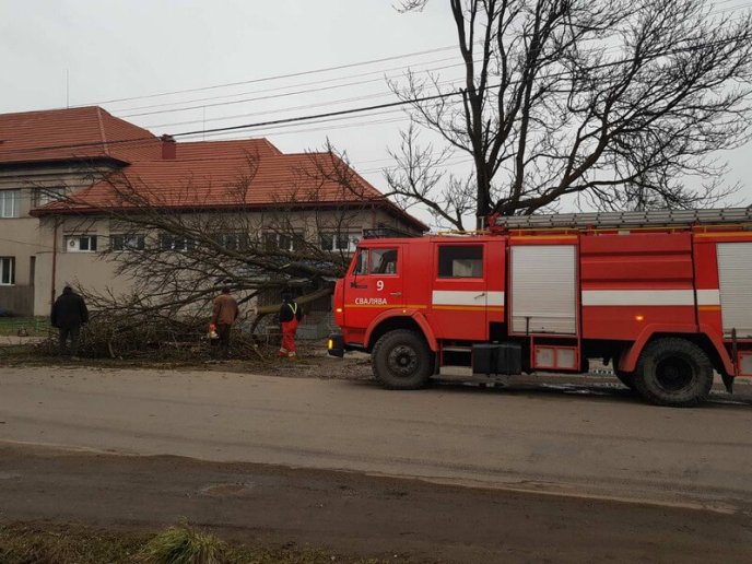 Через сильні пориви вітру дерево впало на торговельний ларьок – 03