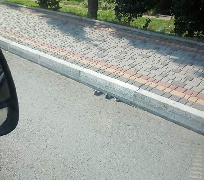 "Сичала так, що страхи брали", – чоловік виявив у себе в будинку велику змію – 03