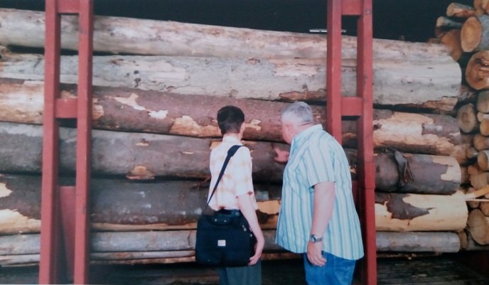 Абсолютна більшість фірм закуповують в Україні кругляк під виглядом "паливної" деревини – 01