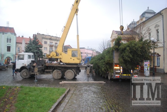 У Мукачеві встановлюють головну новорічну ялинку міста (ФОТО) – 06