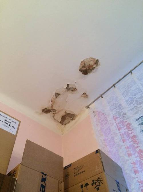 У Мукачеві у відділенні дитячої онкології валиться стеля (ФОТО) – 01