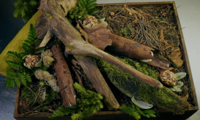 "Мастер Шеф. Професіонали 4": тепер у проєкті залишиться тільки один закарпатець – 05