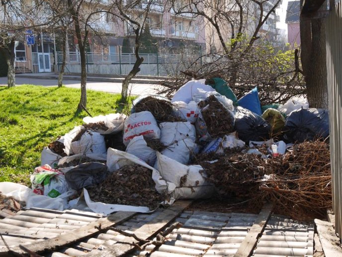В Ужгороді розпочали дератизацію – 05