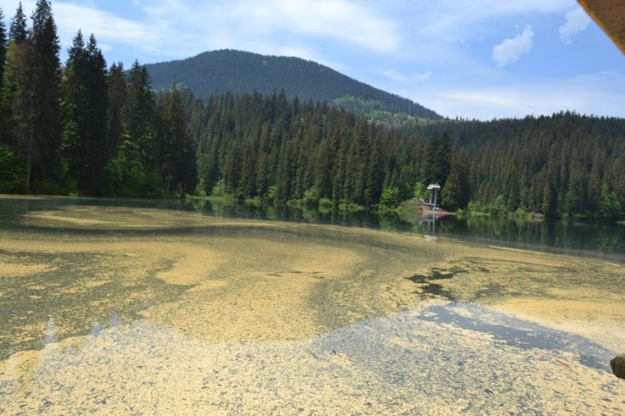 Оприлюднено незвичні фото озера Синевир – 01