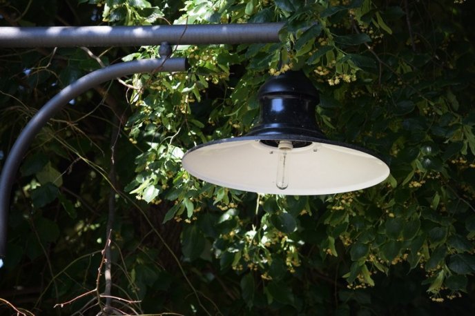 В Ужгороді продовжуються випадки вандалізму – 03