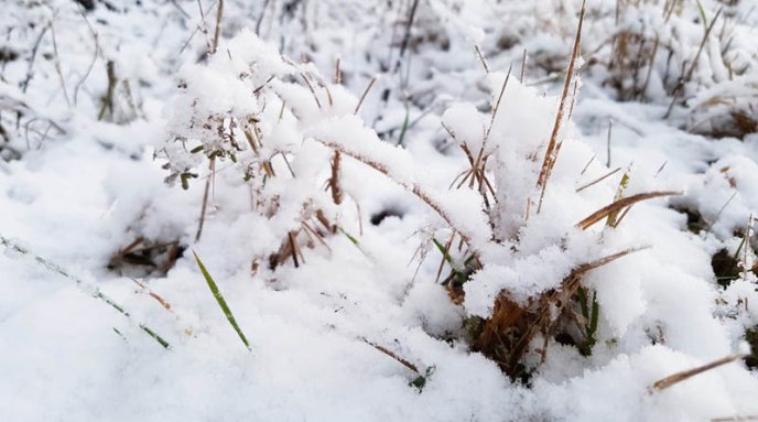 Перевал – у снігу: користувачі мережі милуються засніженими Карпатами – 07