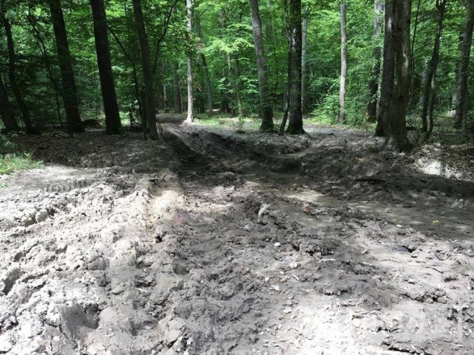 У мікрорайоні Шипка в Мукачеві вирізали дуби – 09 У мікрорайоні Шипка в Мукачеві вирізали дуби – 09