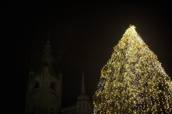 У Мукачеві засвітили вогні на головній ялинці міста – 02