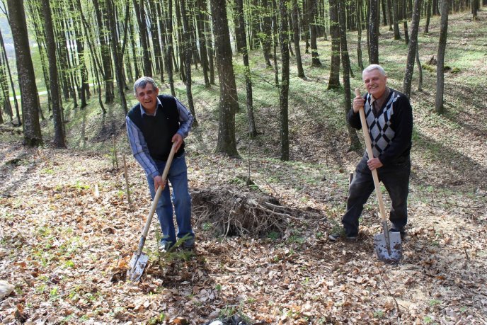 У Шевченківській алеї, що на Ужгородщині, відомі закарпатці висадили нові дерева – 04