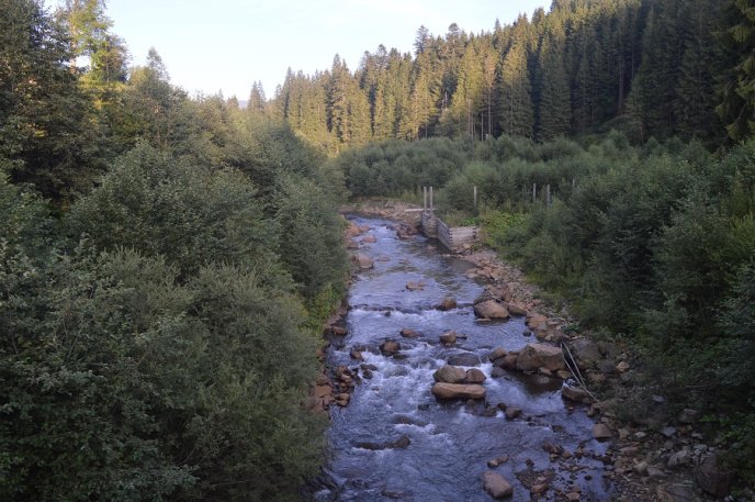 Міністерство екології планує відновити на Закарпатті унікальний музей лісу, аналог якого є лише в Канаді – 04