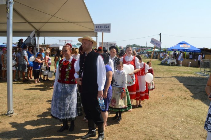 Геннадій Москаль планує на Закарпатті запровадити весільний фестиваль – 01