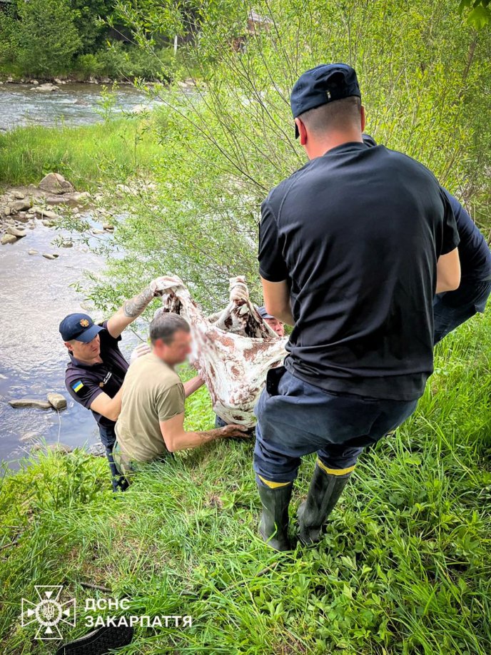 Рятувальники дістали тіло жінки з води / фото: ДСНС Закарпаття