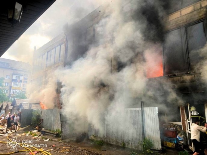 Вогонь охопив 600 «квадратів» / фото: ДСНС Закарпаття