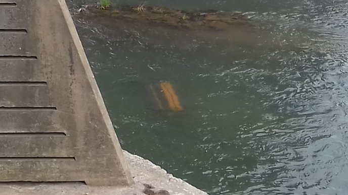 Невідомі скоїли у центрі Ужгорода ганебний вчинок – 03