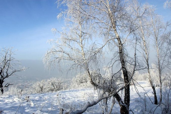 Мукачівські гуртківці дослідили зв’язок між вагомою історичною подією та Закарпаттям – 06 Мукачівські гуртківці дослідили зв’язок між вагомою історичною подією та Закарпаттям – 06