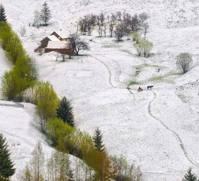 Посеред травня на Закарпатті випав сніг – 02