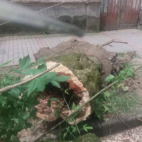 Як у Мукачеві ліквідовують наслідки негоди – 02 Як у Мукачеві ліквідовують наслідки негоди – 02