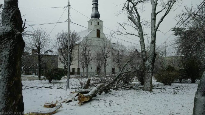 Наслідки негоди у Виноградові: повалені дерева, пошкоджені автомобілі та дах школи – 01