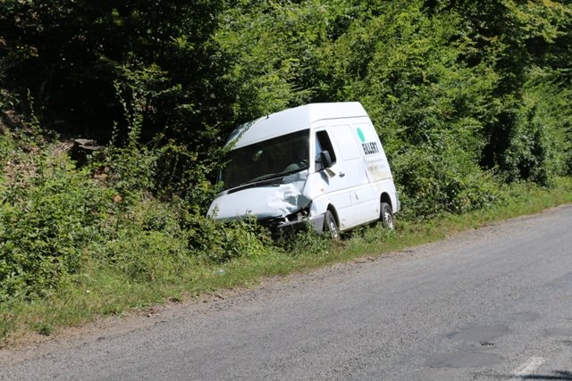 Курйозна ДТП на Виноградівщині: корова стала причиною аварії – 02