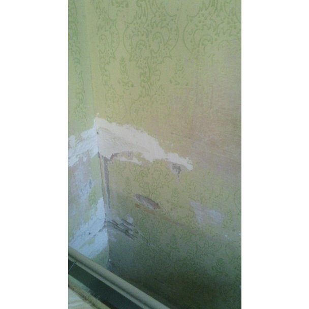 Холодна палата, стіни вкриті грибком, жахливий сморід, – жінка поскаржилась на умови в одній із лікарень області (ФОТО) – 05