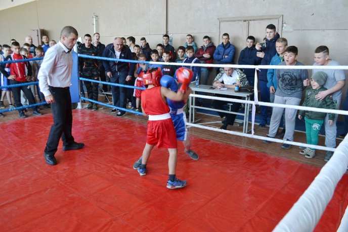 В області провели ІХ-ий  щорічний турнір із боксу пам’яті Володимира Тунаєва  – 11
