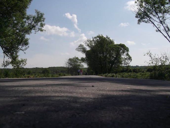 На Хустщині відкрили оновлену дорогу, яка веде до Долини нарцисів – 17