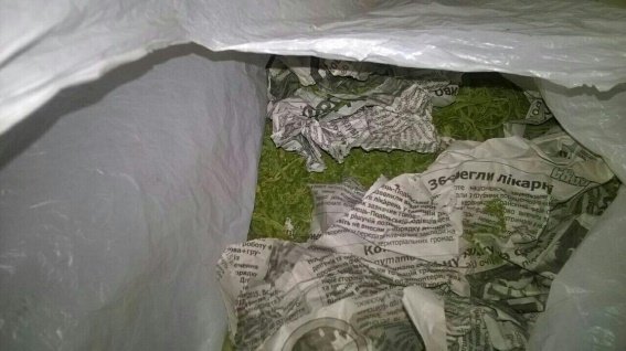 43-річний таксист з Берегова у шафі свого будинку вирощував наркотики – 02