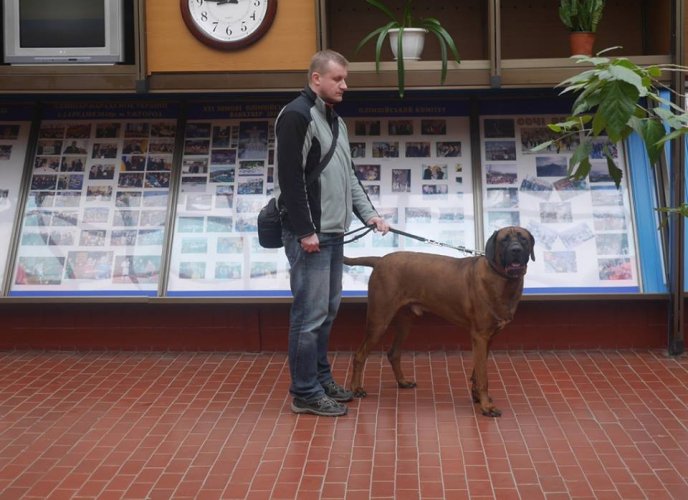 В обласному центрі стартувала міжнародна виставка собак – 09