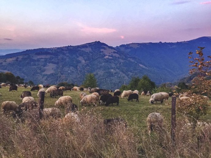Учасник експедиції "Ukraїner" показав дивовижні світлини вершин Карпат – 07