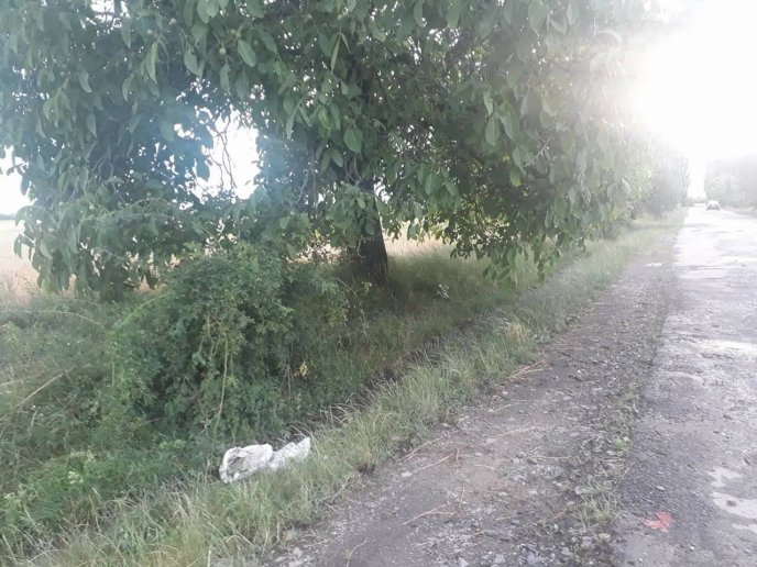 Шокуючий вчинок: на Закарпатті під час грози невідомі зав’язали у мішок кошенят і викинули на трасу – 03