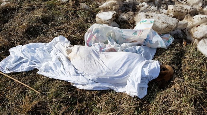 На берег річки Уж викинули замотане у простирадло тіло собаки – 01