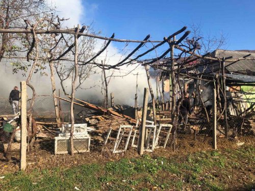 Вчора в Іршавському районі вирувала пожежа – 02