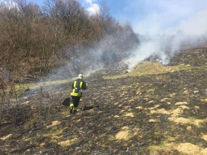 На горі Ловачка, що в Мукачеві, сталася пожежа – 01