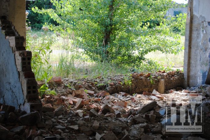 Маленька Прип’ять по сусідству зі школою та багатоквартирним масивом (ФОТО) – 10