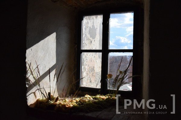 У Чинадієві відбувся фестиваль квітів "Кохання в Сент-Міклоші" – 44