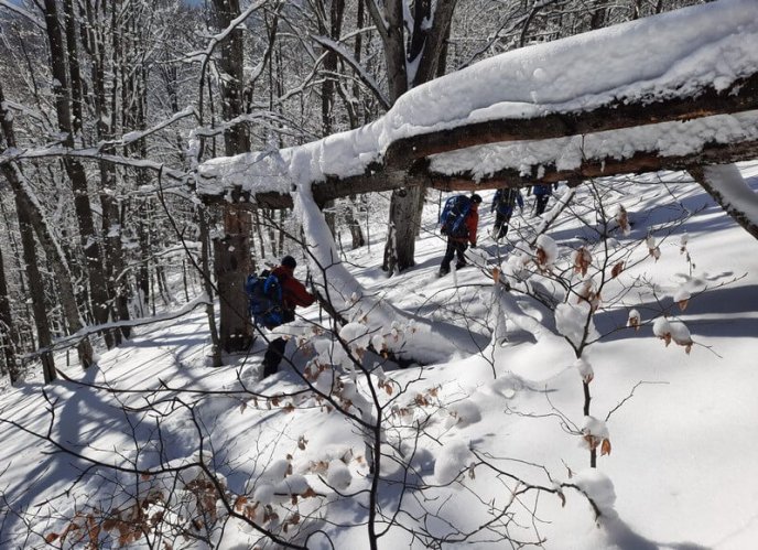 Знайшли сліди: у горах продовжують шукати лижника, який заблукав – 02 Знайшли сліди: у горах продовжують шукати лижника, який заблукав – 02