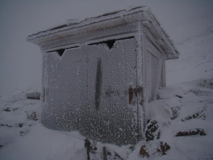 У горах Закарпаття – до 35 сантиметрів снігу, а на низовині зацвів бузок – 06