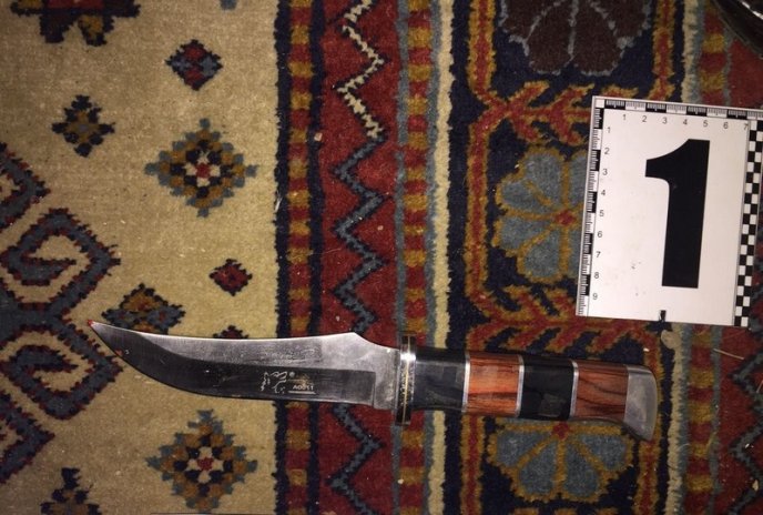 Сварка між тіткою та неповнолітньою племінницею закінчилася різаниною – 02