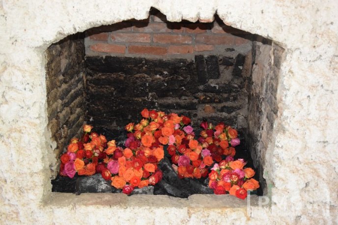 У Чинадієві стартував квітковий фестиваль "Кохання в Сент-Міклош" – 34