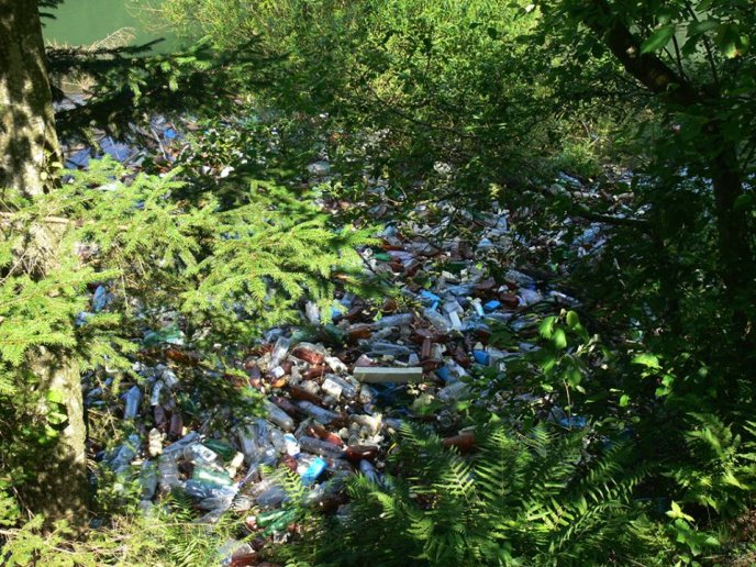 Найбільша штучна водойма Закарпаття нагадує більше смітник: пляжі знищено, а ловити рибу небезпечно – 10