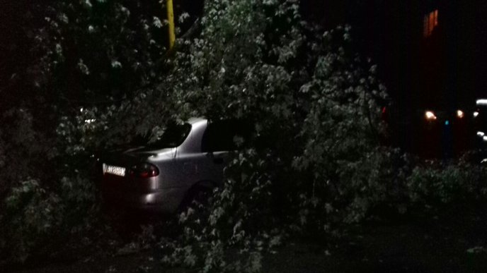 Негода, яка пронеслась Закарпаттям, повалила дерева – 03