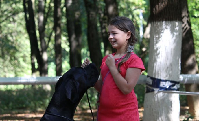 В Ужгороді проходить виставка собак "Зірка Закарпаття" – 10