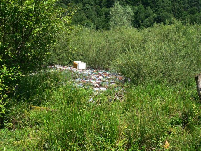 Найбільша штучна водойма Закарпаття нагадує більше смітник: пляжі знищено, а ловити рибу небезпечно – 04