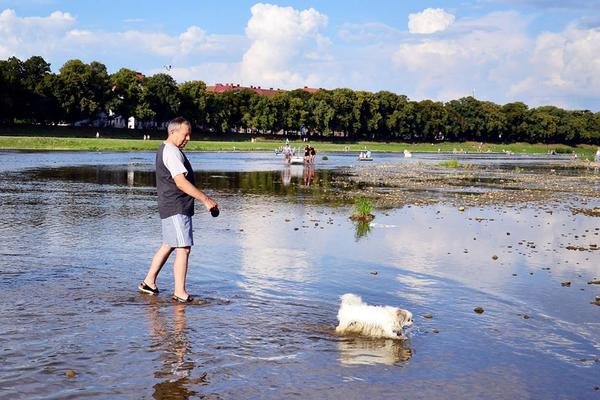 В обласному центрі відбулась традиційна "Ужгородська регата" – 07