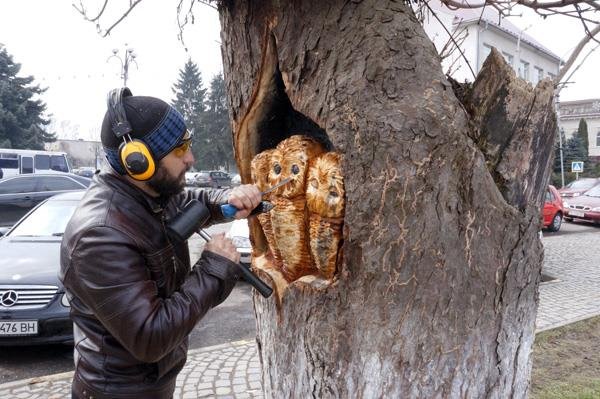 У старому дереві у Тячеві майстер вирізьбив совину родину – 03